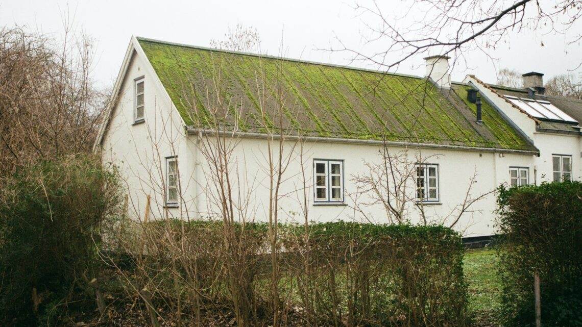 Hvem på Sjælland har Rationel? Hvem på Sjælland har Rationel?