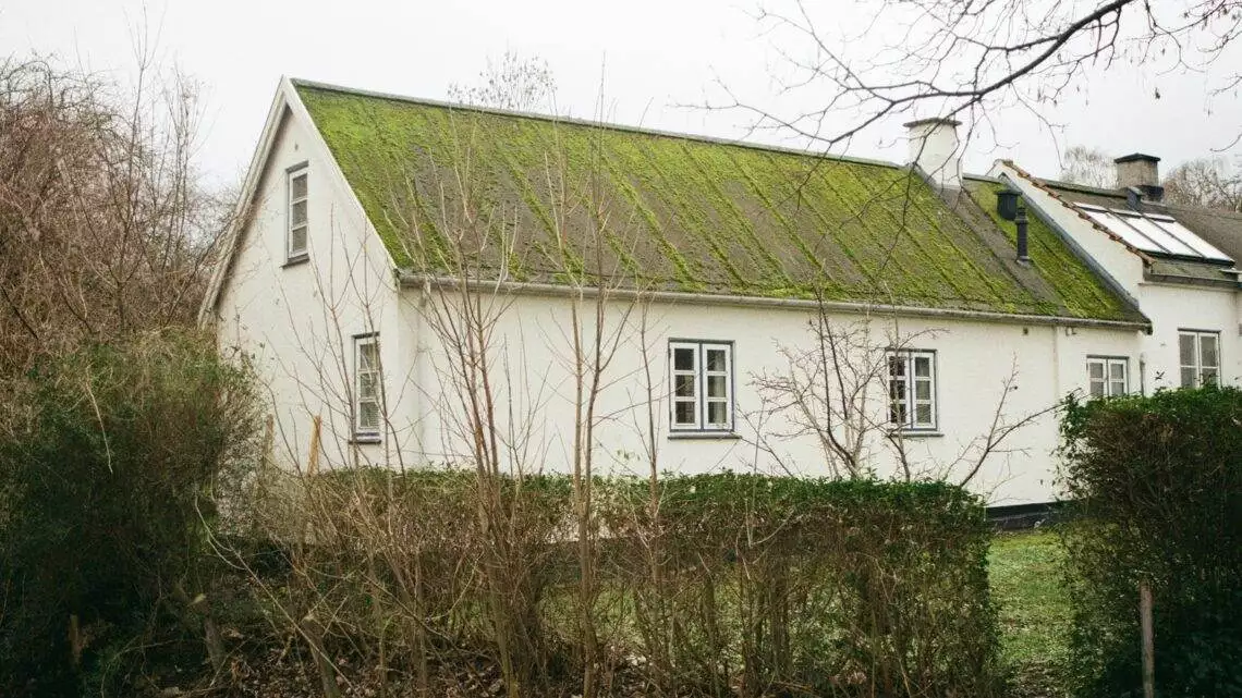 Hvem på Sjælland har Rationel?