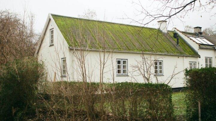 Hvem på Sjælland har Rationel?