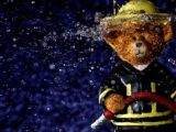 bear, firefighter, water