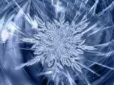 ice crystal, ice, frost