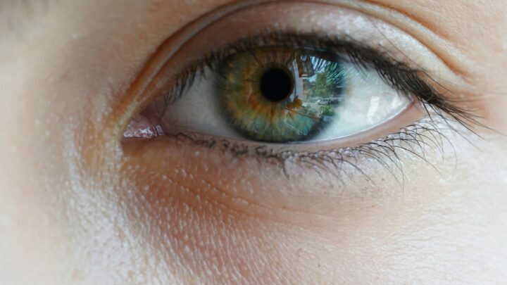 Nye linser i øjnene